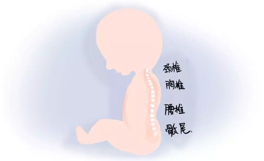 你家还在把屎把尿？？这篇文章一定要看！1.webp.jpg